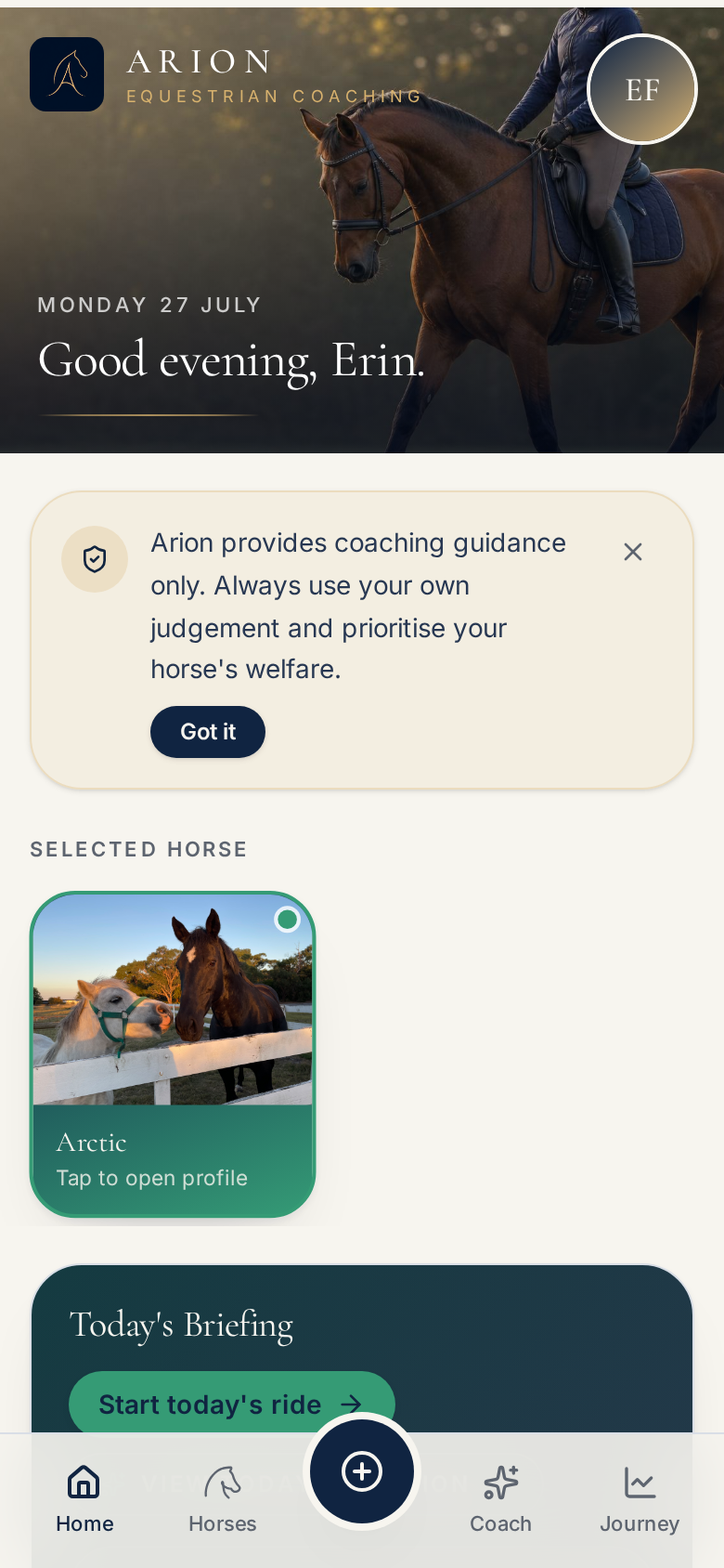 Arion Daily Briefing screen