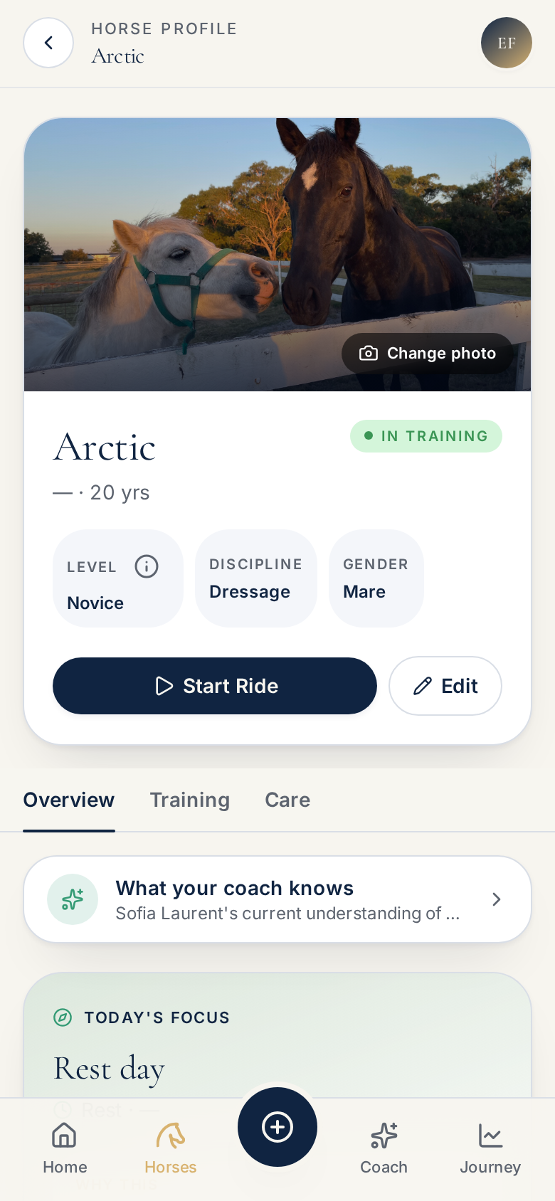 Arion Horse Profile screen