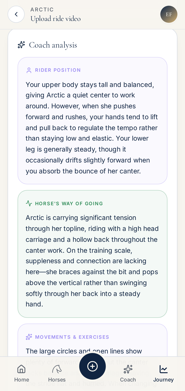Arion Coach analysis showing Rider Position and Horse's Way of Going feedback